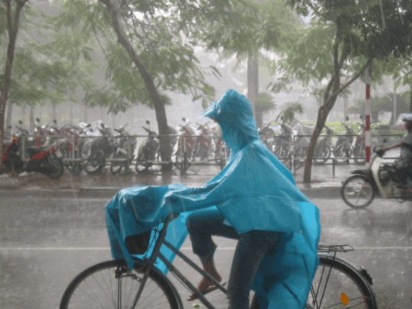 Mobirise